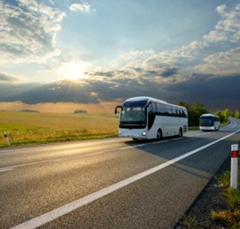 Two white buses drive along a winding rural road bordered by grassy fields under a dramatic, partly cloudy sky with the sun shining through—offering useful information for those planning scenic countryside travel.